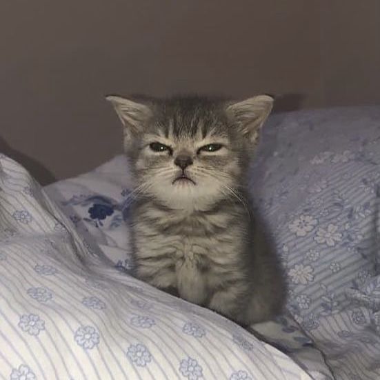 My Reaction to this Information